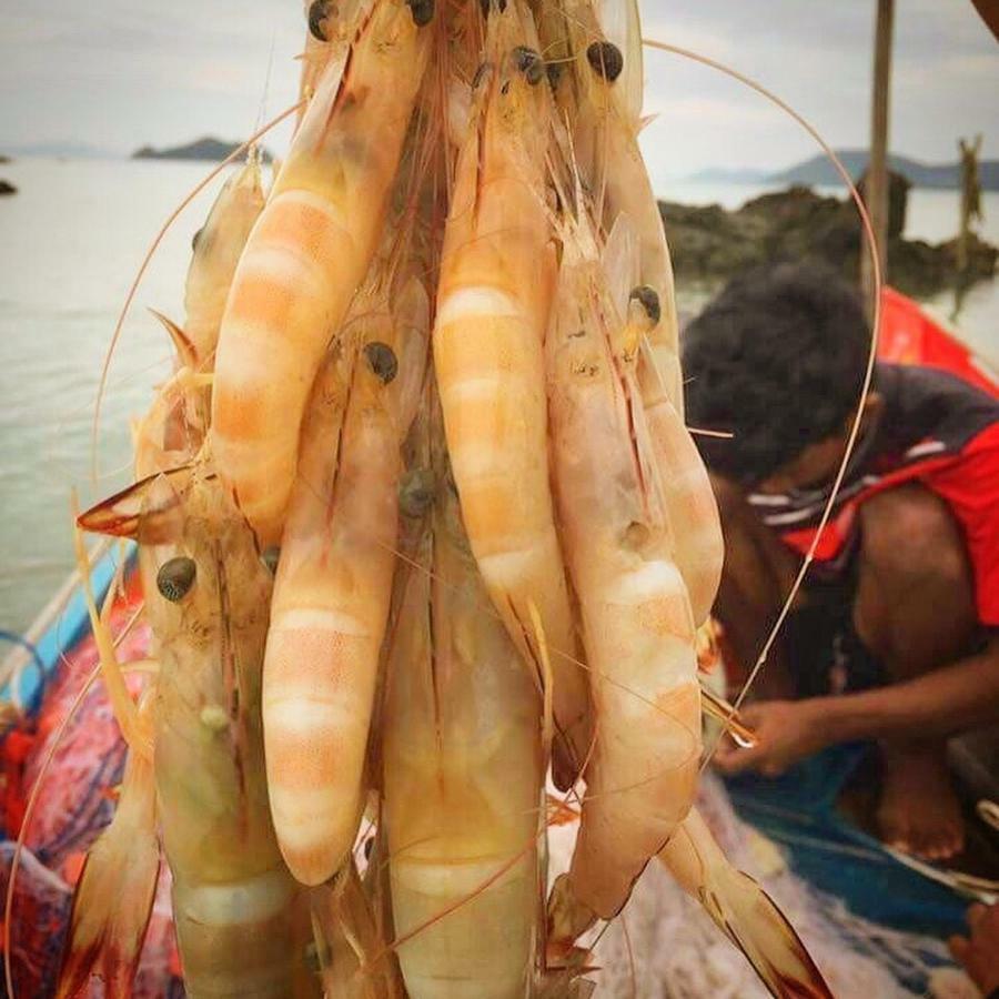 Koh Phaluai Beach Bangalow Ban Ko Nok Taphao 外观 照片